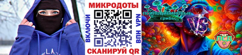 Купить закладки  Карасук  Псилоцибиновые грибы Psilocybine cubensis 